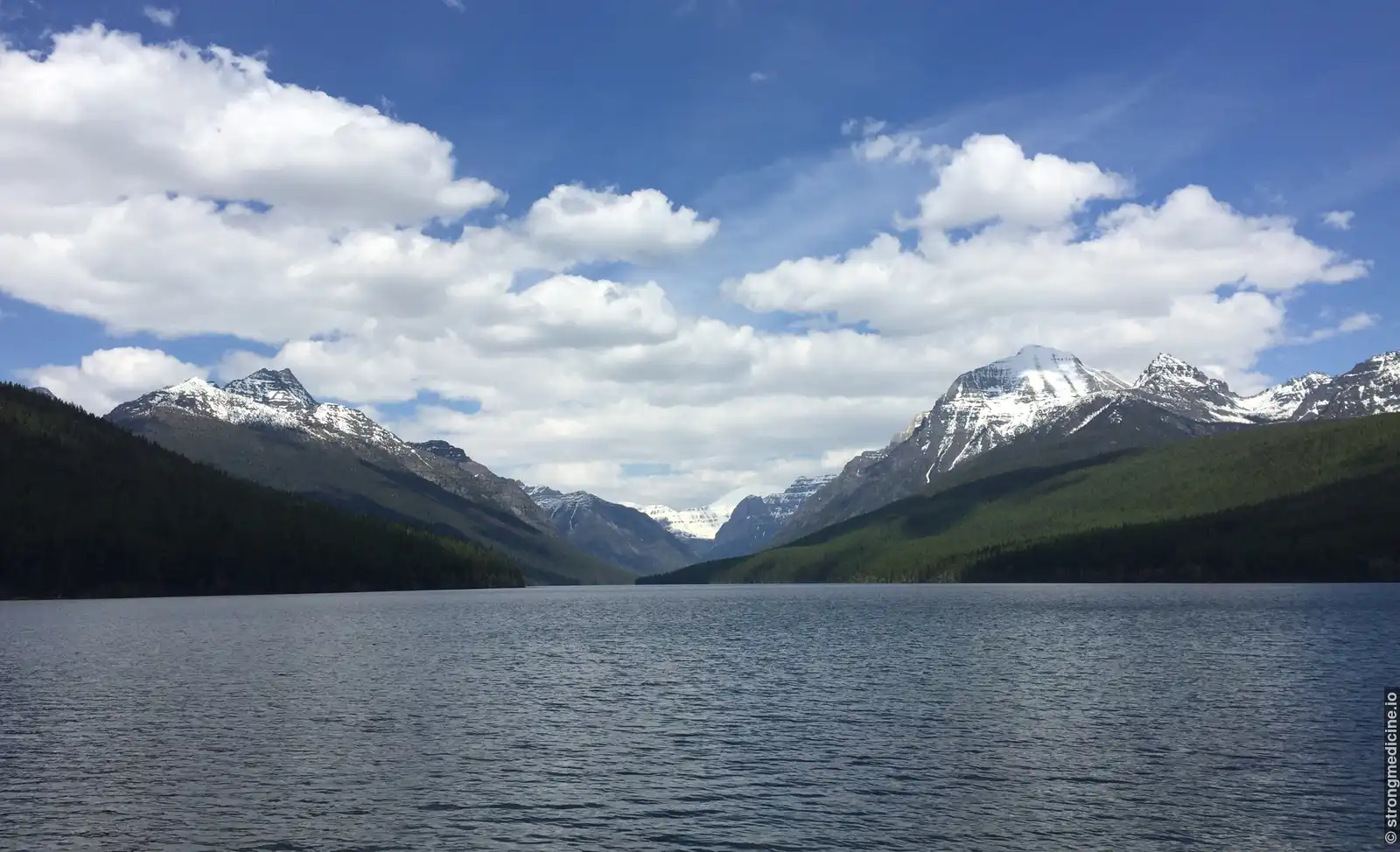 Spring In Glacier